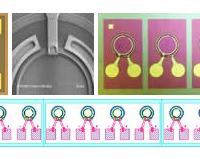 GaAs & InGaAs Photodetector